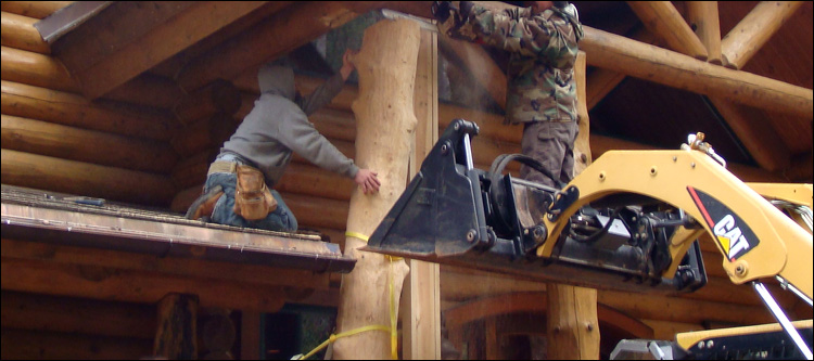 Log Home Log Replacement  Greensville County, Virginia